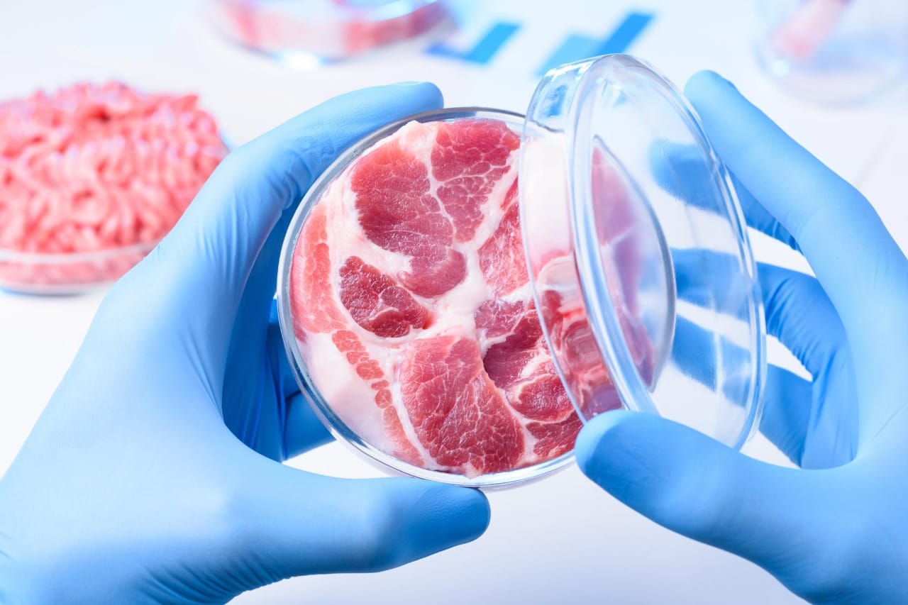 Científicos chilenos pioneros en cultivar carne in vitro