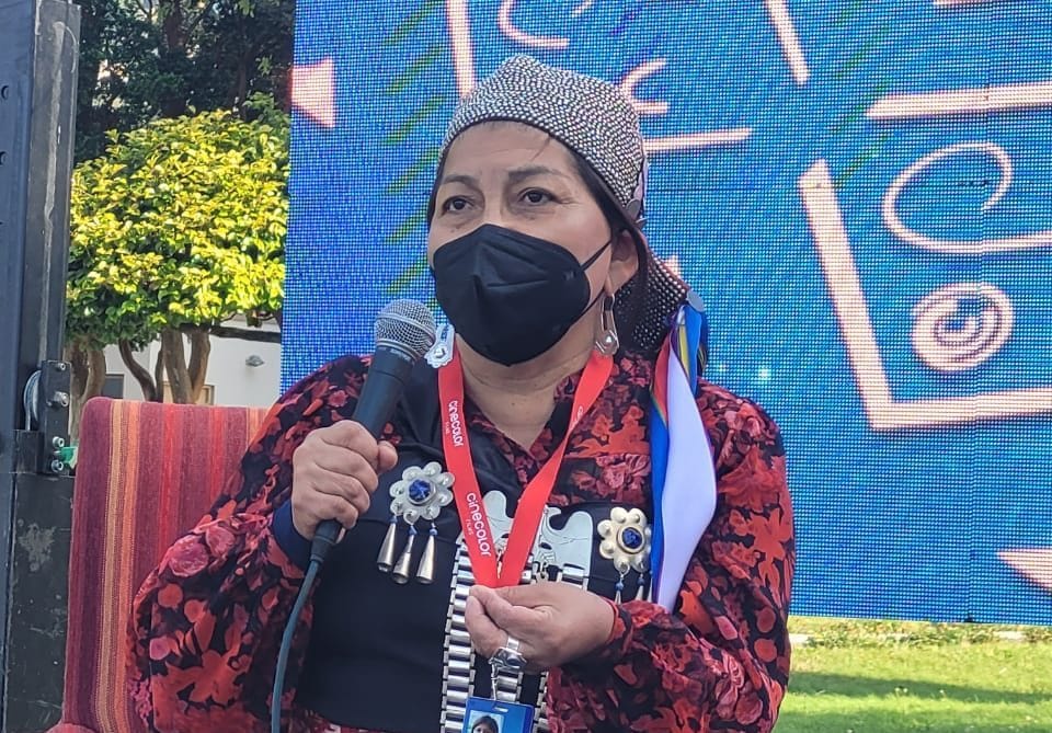 Elisa Loncon recibió distinción especial en Festival Internacional de Cine de Lebu