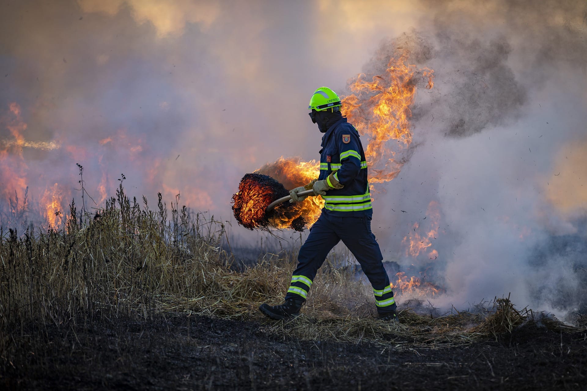 Editorial: Incendios forestales, otra consecuencia Calentamiento Global y neglicencia humana
