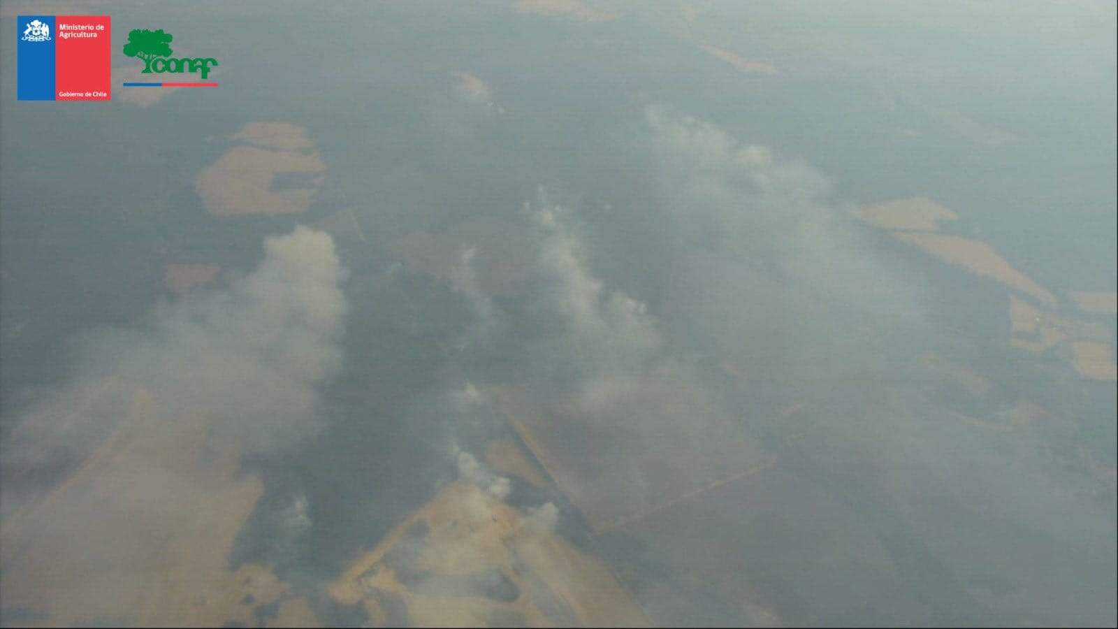 En un 30% aumentó hectáreas consumidas por incendios forestales en Biobío tras gigantesco siniestro en Mulchén