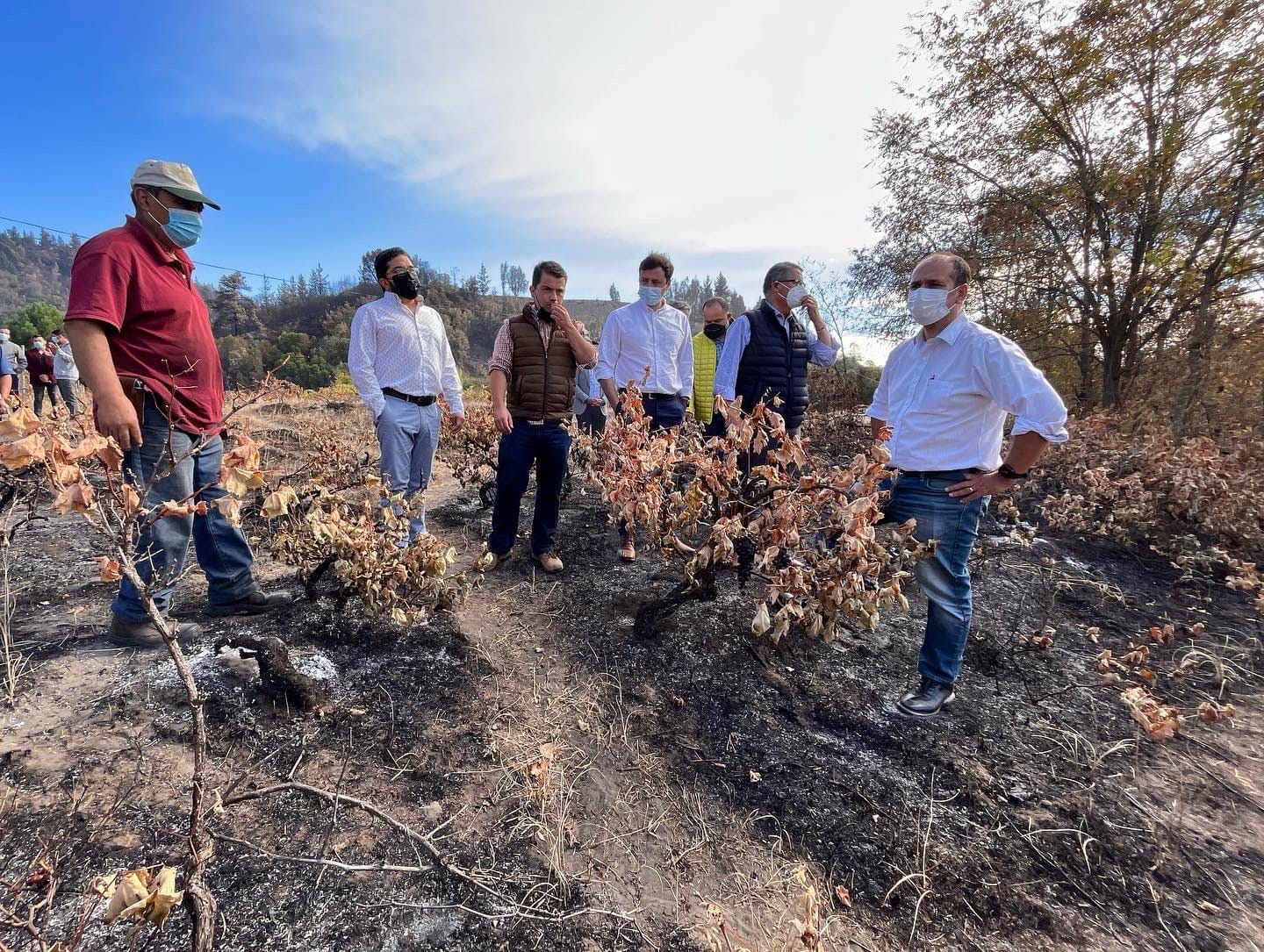 Gobernador Díaz compromete ayuda a personas afectadas por incendio forestal  en Yumbel