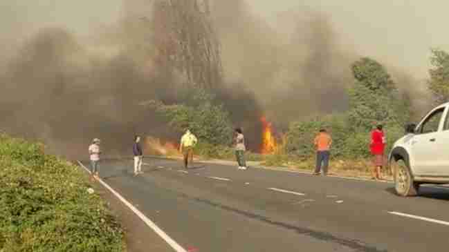 Suspenden todas las clases en Yumbel por complejo incendio forestal en sector Río Claro