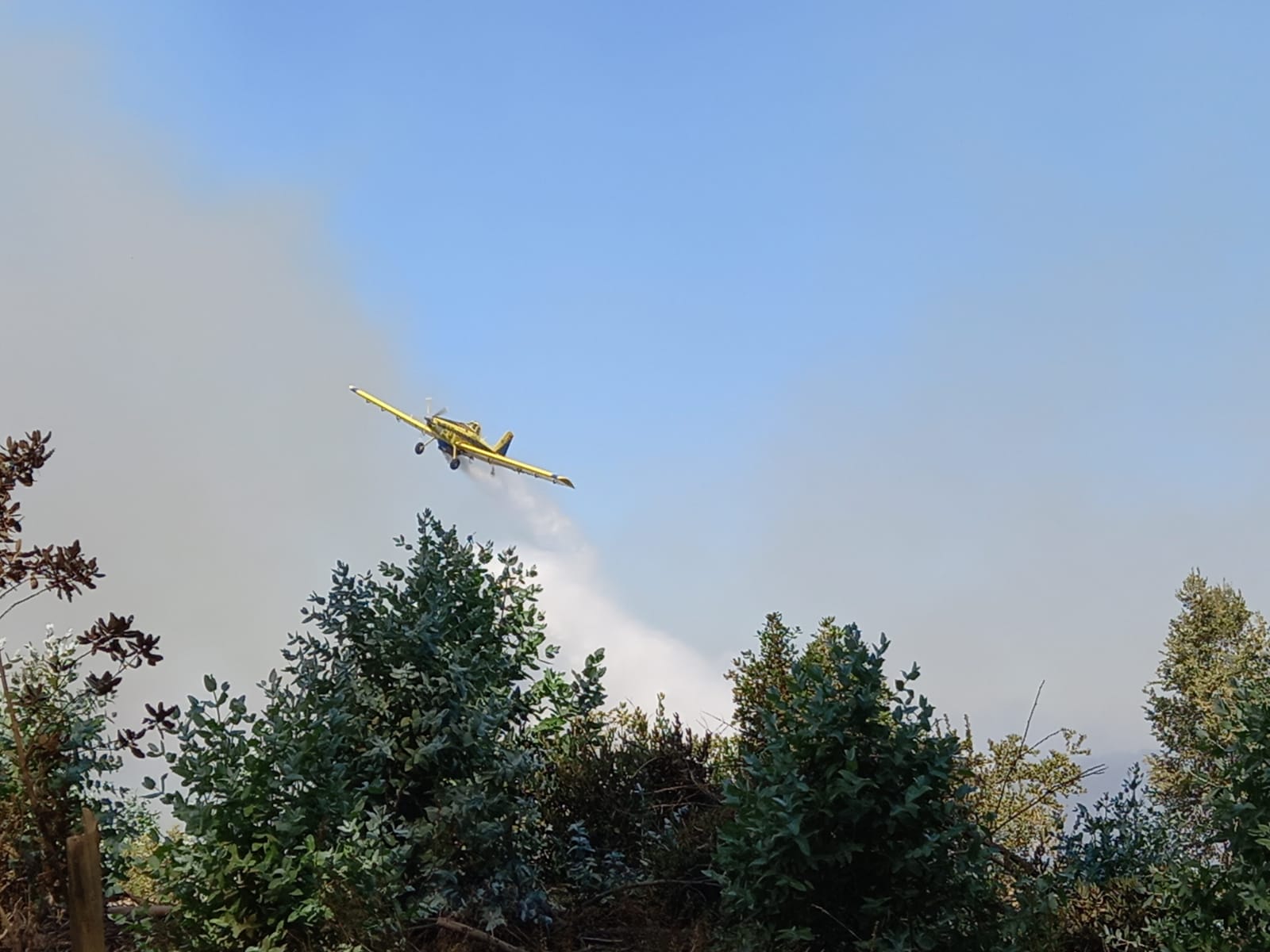 Continúa el combate de incendio forestal en Yumbel: Siniestro ha consumido 7 viviendas