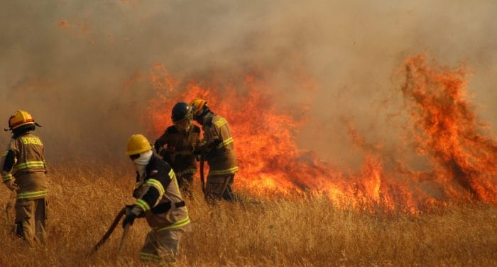 Coordinan trabajo interregional entre Biobío y La Araucanía para combatir incendios forestales