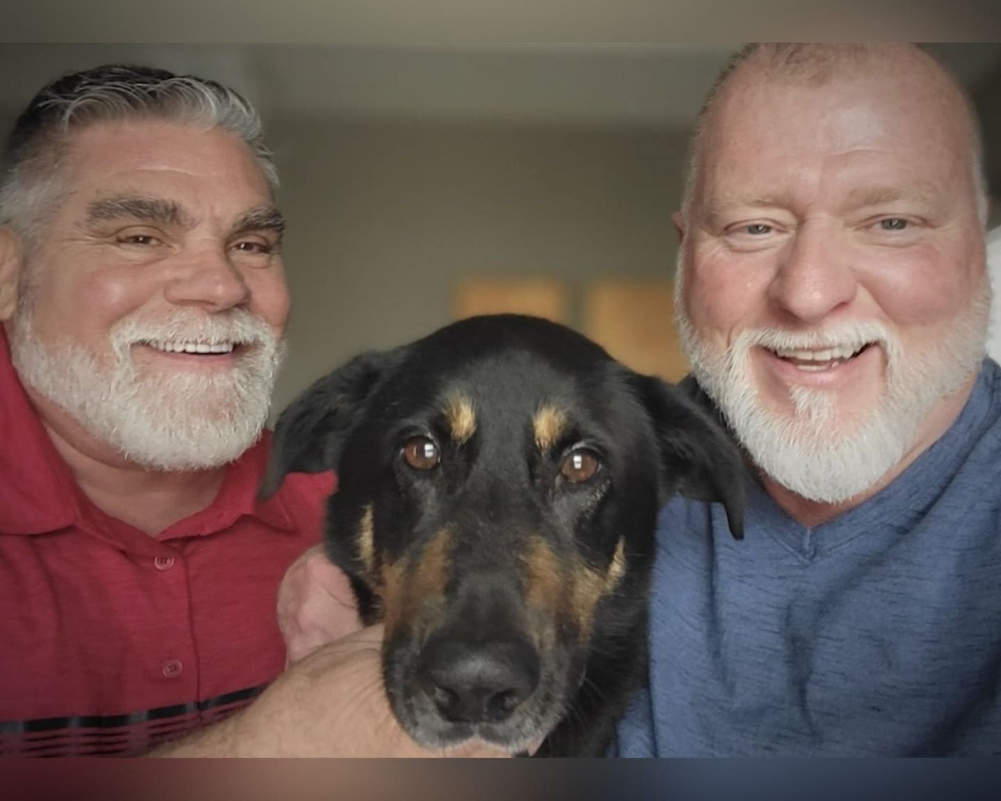 Perro fue abandonado por familia que pensó que era gay: Lo adoptó pareja del mismo sexo