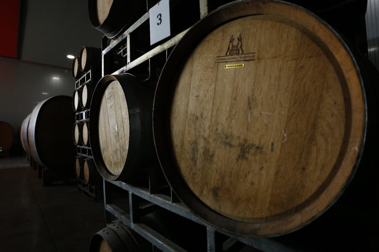 Existencia de vinos aumentó 7,2% en Chile: Biobío registró un incremento de más del 40%
