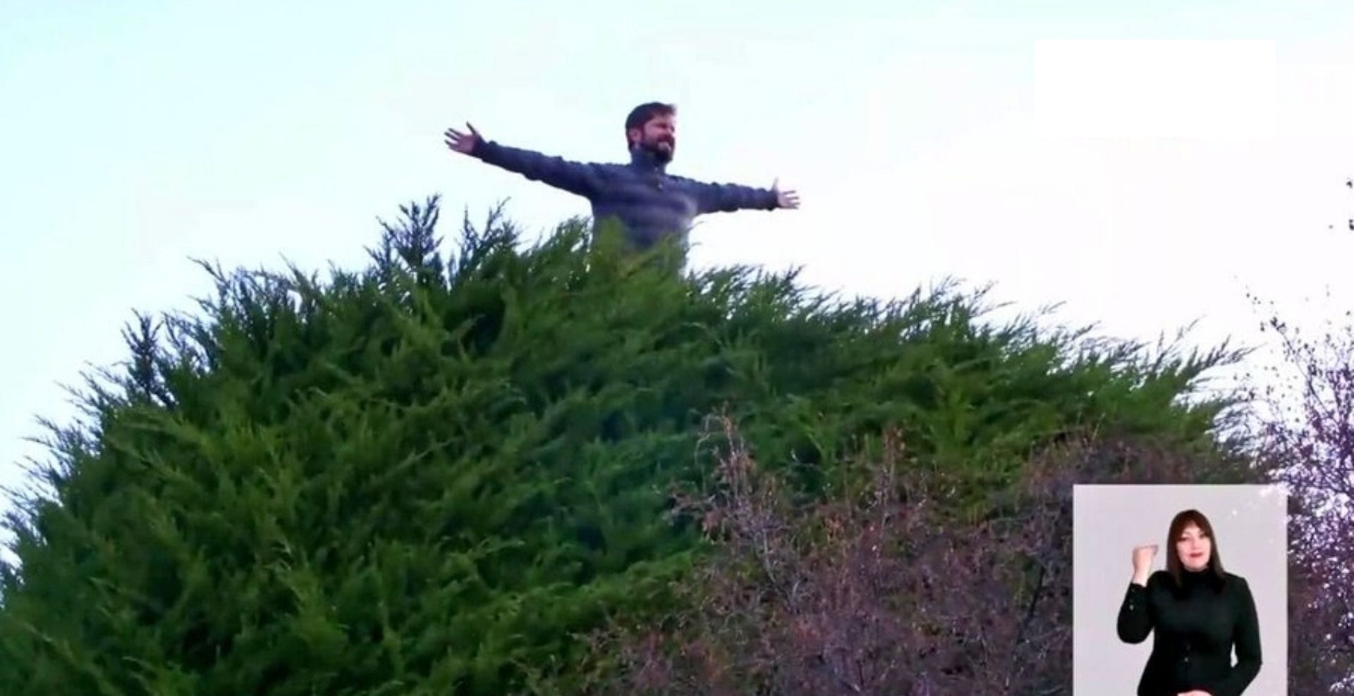 “No subir”: Punta Arenas prohibirá acceso a emblemático árbol de Boric