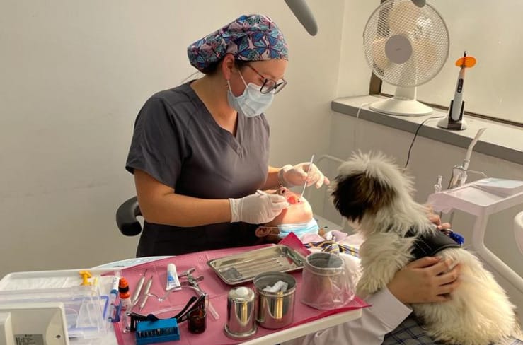 Concepción: Perritos ayudan a pacientes a no sentir miedo en el dentista