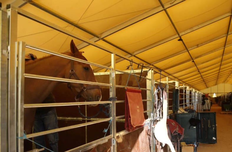 Ladrón se ocultó con caballos del Club Hípico tras asalto a camión de cigarros en Hualpén