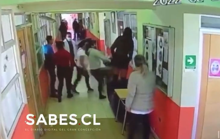 Video revela momento en que mujer apuñaló a un profesor en Talcahuano: Quedó en prisión