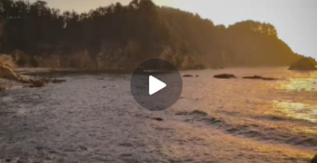 Talcahuano: Acusado de matar a trabajador penquista se lanzó al mar para huir de la PDI