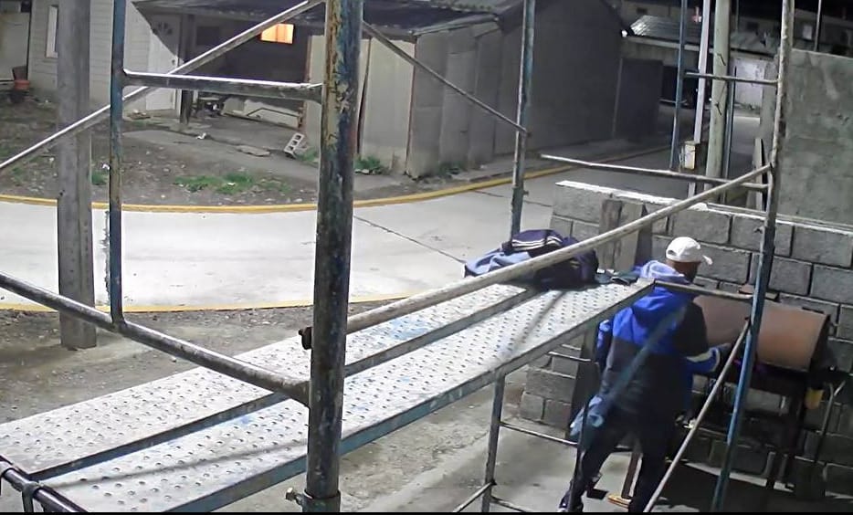 Insólito robo: Se llevó trozo de carne durante asado familiar y cámara lo captó