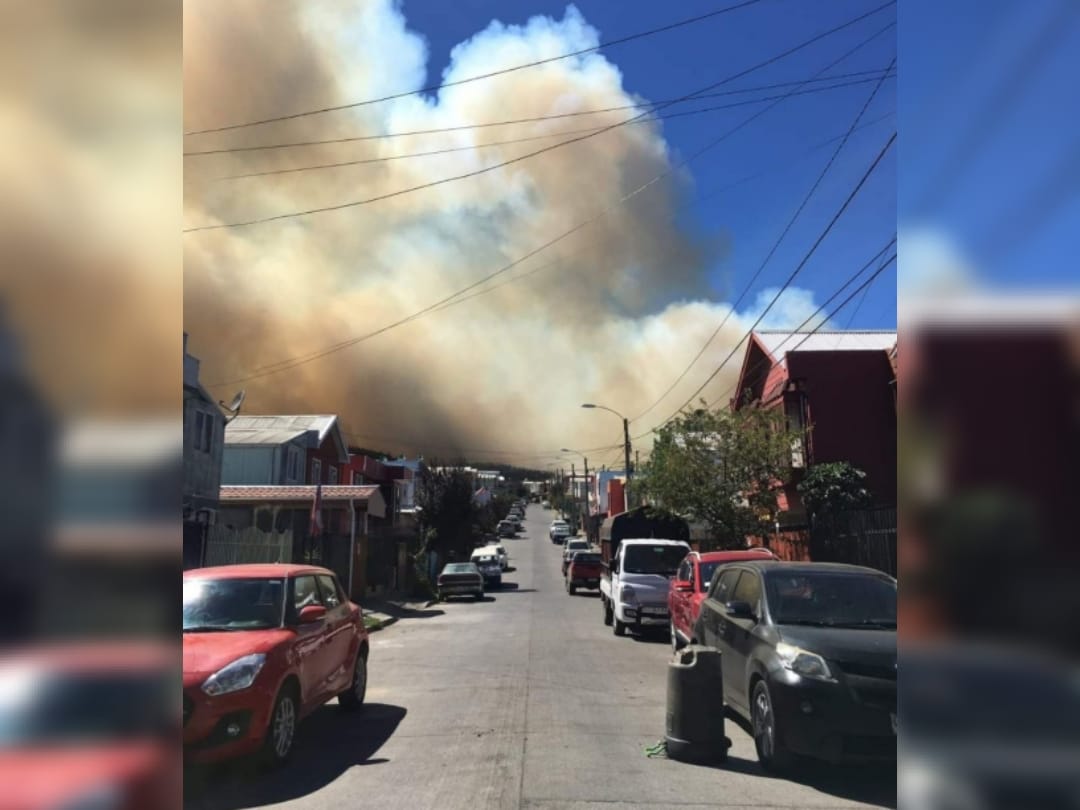 Impacto en el Gran Concepción por enorme humareda de incendio: Se presume intencionalidad