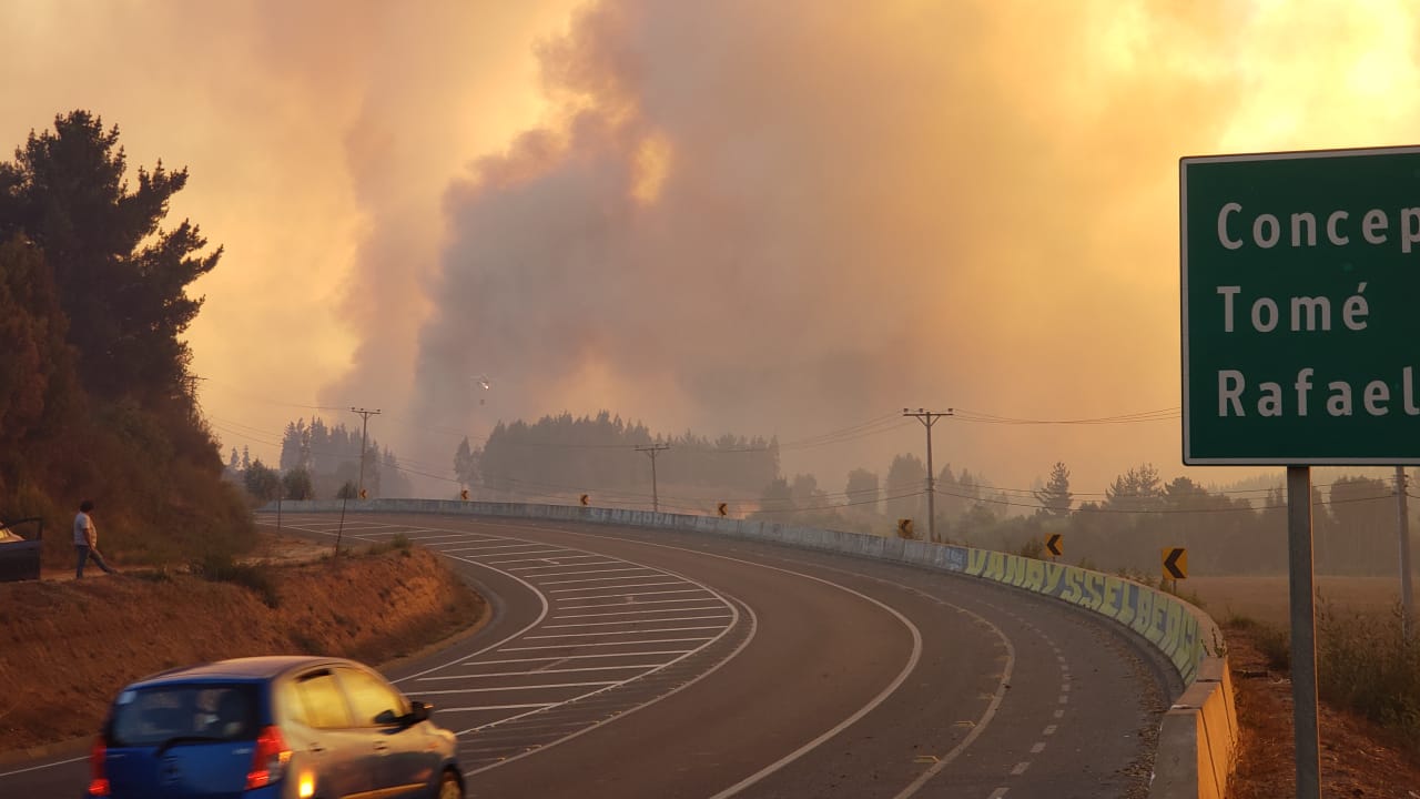 Más de 2 mil hectáreas quemadas producto de incendio forestal en Coelemu