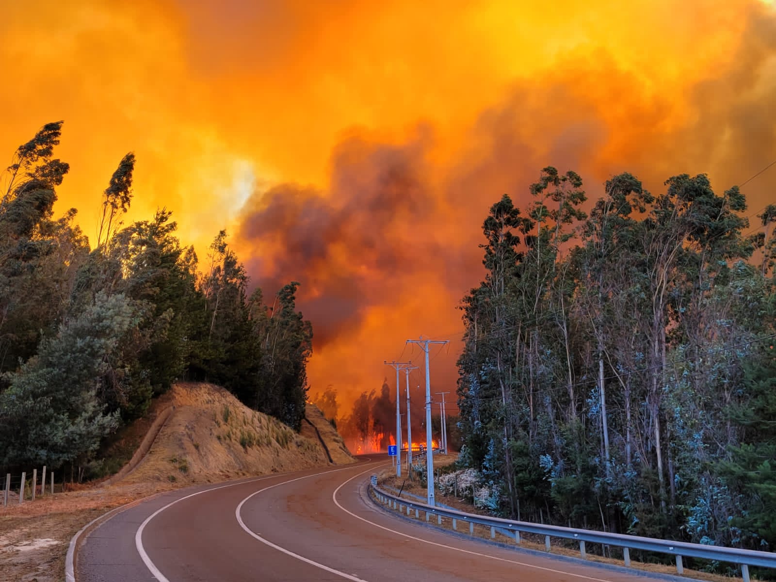 Alerta roja en Coelemu por incendio que ha consumido más de 1.500 hectáreas