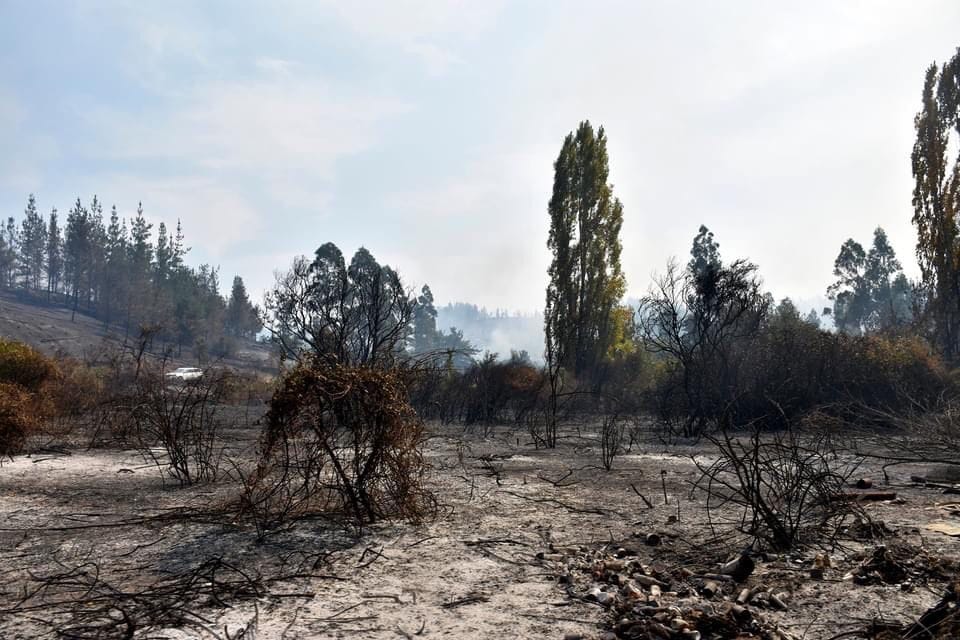 Los incendios han puesto de manifiesto la postergación del Pueblo de Rere