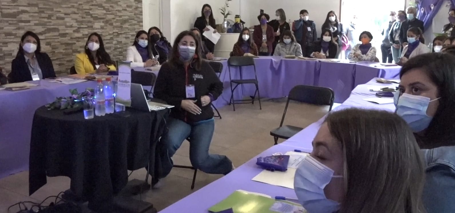 Mujeres: por primera vez se debatió sobre enfoque de género en los municipios del Gran Concepción