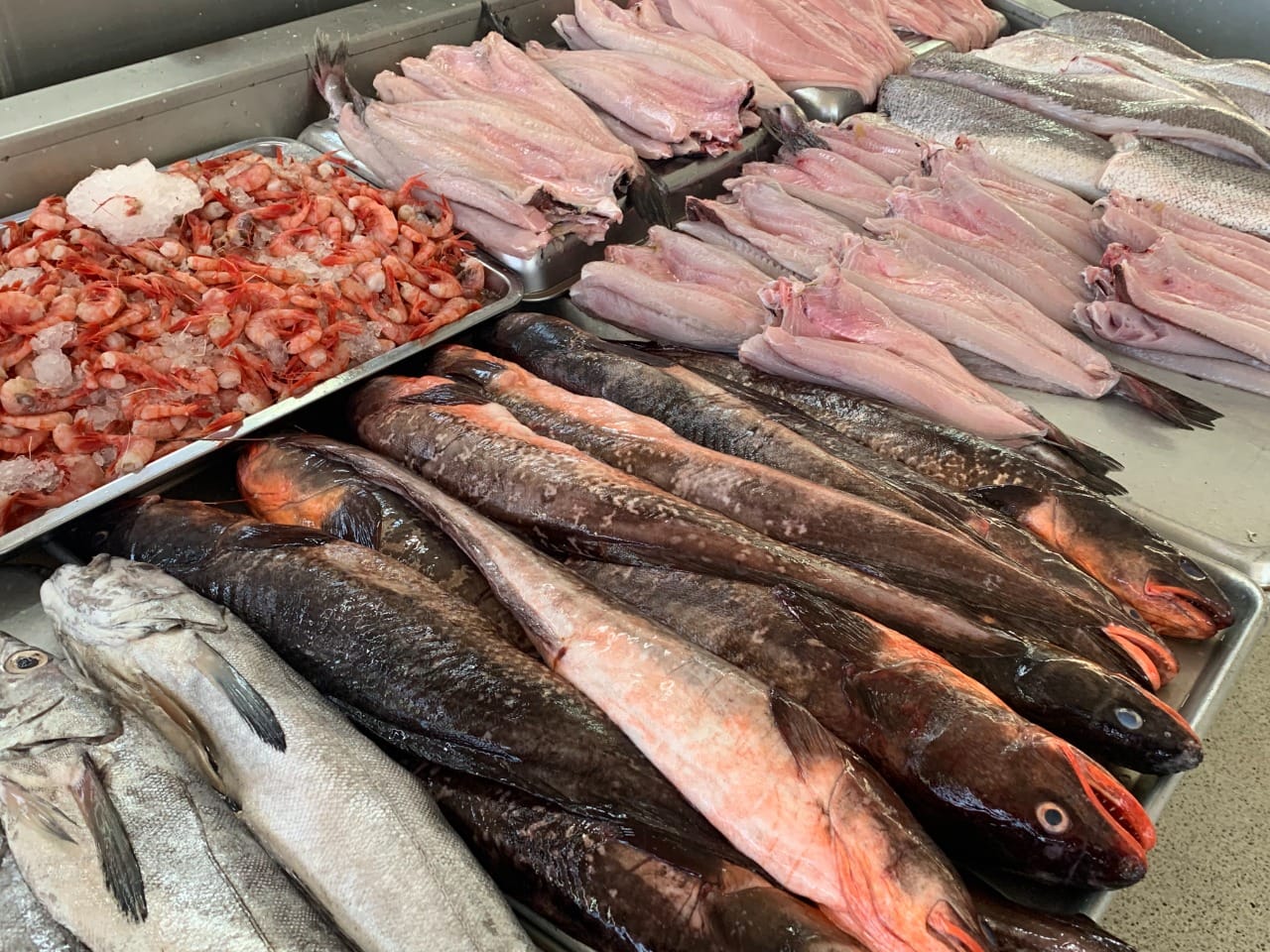 Pescaderías de Talcahuano prevén alza de precios para Semana Santa