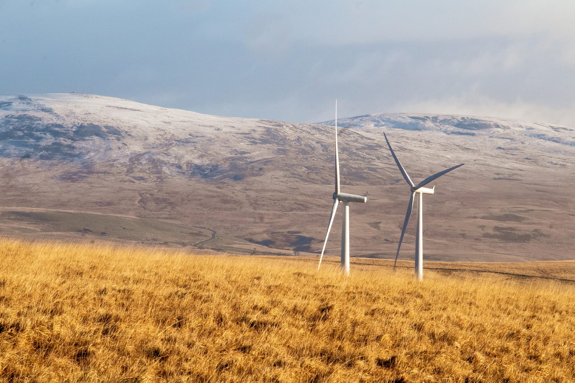 Aprueban de forma unánime proyecto “Parque Eólico Viento Sur” en el Biobío