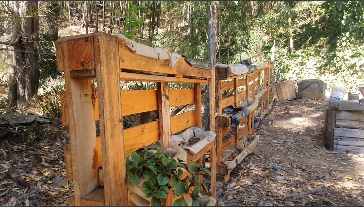 Primer parque terapéutico para pacientes de Psiquiatría se emplazará en Concepción
