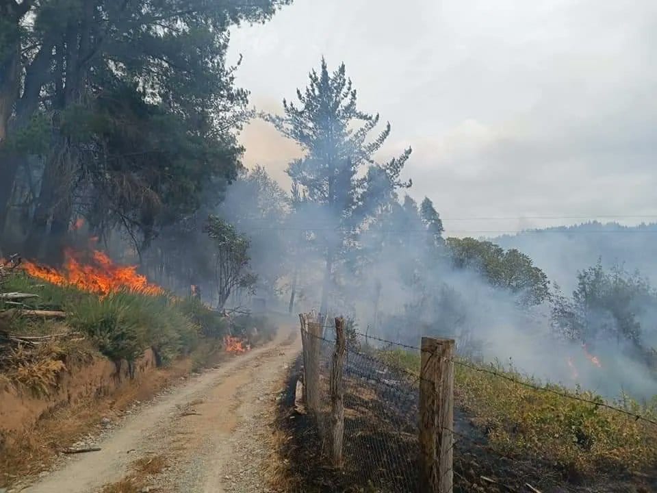Decretan alerta roja para Santa Juana por incendio forestal