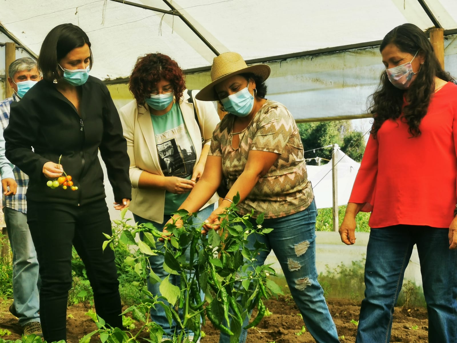 Destacan trabajo de emprendedoras para la agricultura familiar campesina de Biobío 