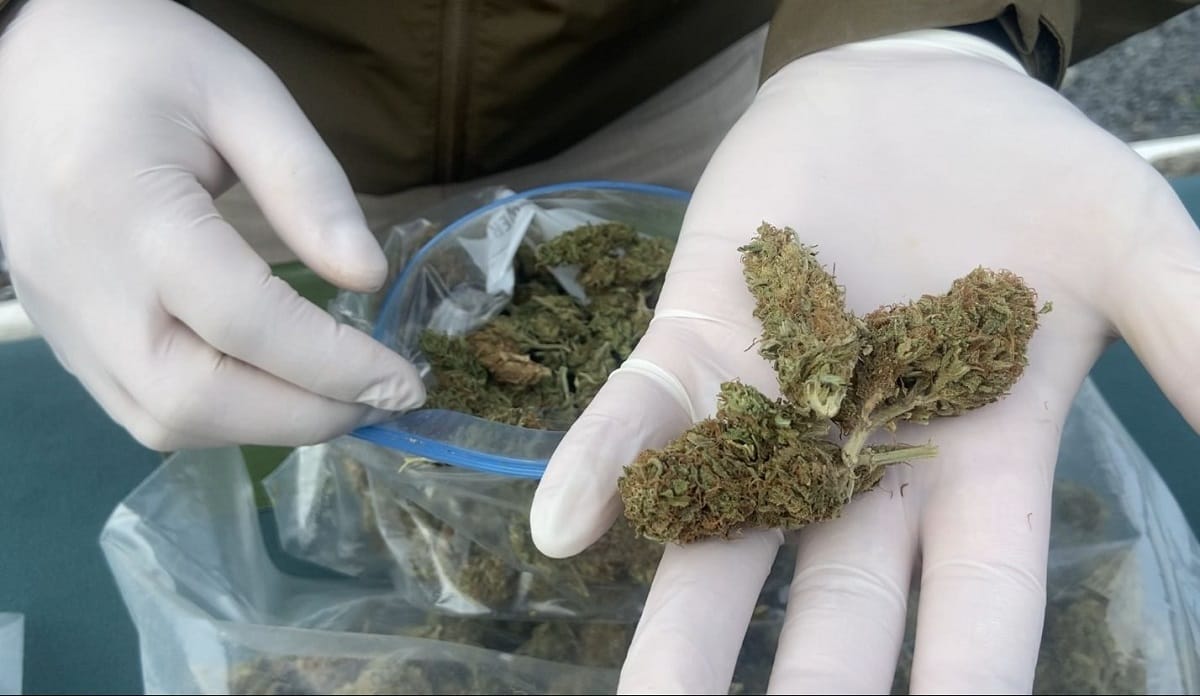 Detienen a sujeto que vendía hongos, éxtasis y marihuana en pleno centro de Concepción