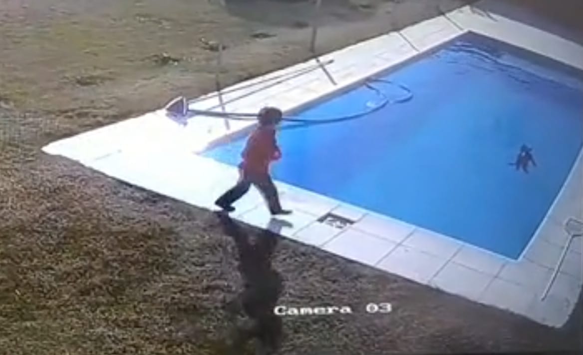 ¡Heroico! Niño de 5 años salvó a su perro de morir ahogado en una piscina