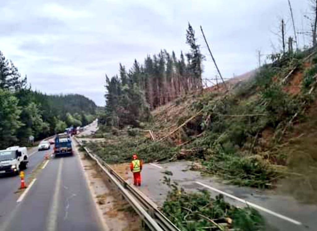 Caída de árboles mantiene cortado un tramo de la Ruta Itata