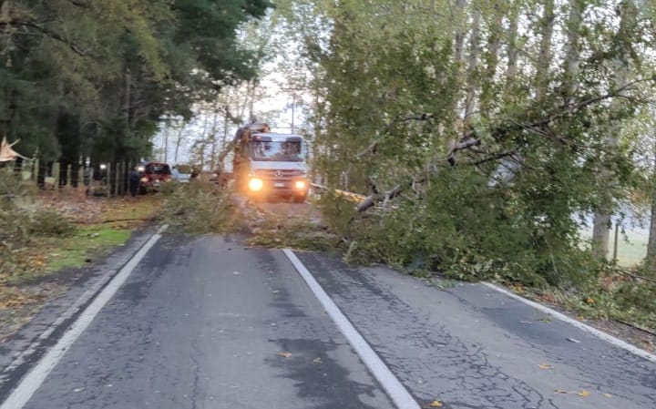 Desconocidos cortan ruta para intentar ingresar otra vez a fundo desalojado en Alto Biobío