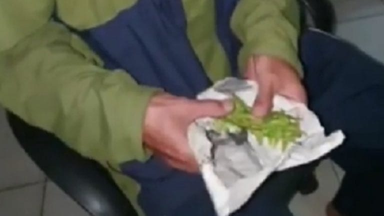 Compró marihuana pero recibió hojas de apio: Se hizo viral tras denunciar engaño a la policía