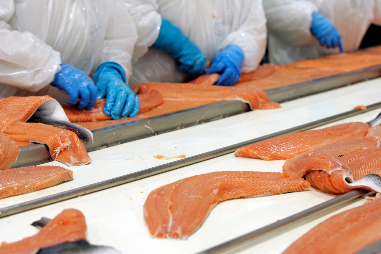 Productos alimenticios impulsan crecimiento de las manufacturas en Chile durante marzo