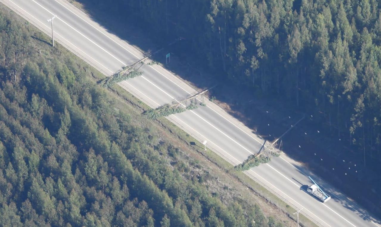 Ruta entre Arauco y Lebu permaneció cerrada por presencia de sujetos armados y corte de árboles
