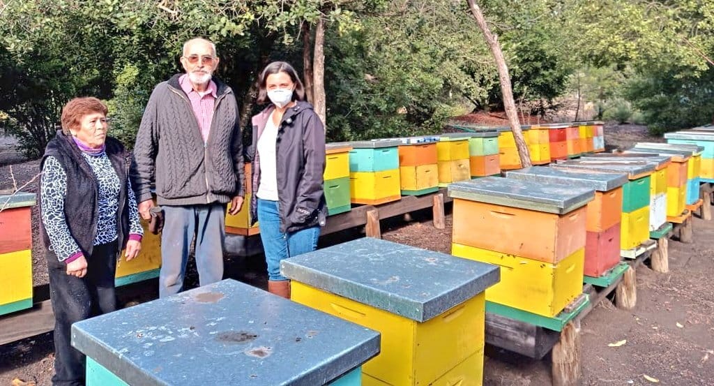 Con charlas y trabajo en terreno continúan consulta pública apícola en Biobío  