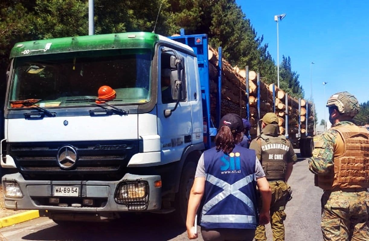 Ex coordinadora de la Región del Biobío refutó dichos de gobernador Díaz sobre ausencia del SII en la Macrozona