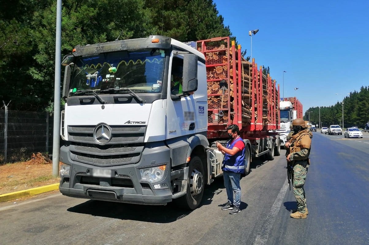 SII descarta dichos de gobernador Díaz y afirma que persiguen ilícitos por robo de madera: Última querella la presentó en marzo