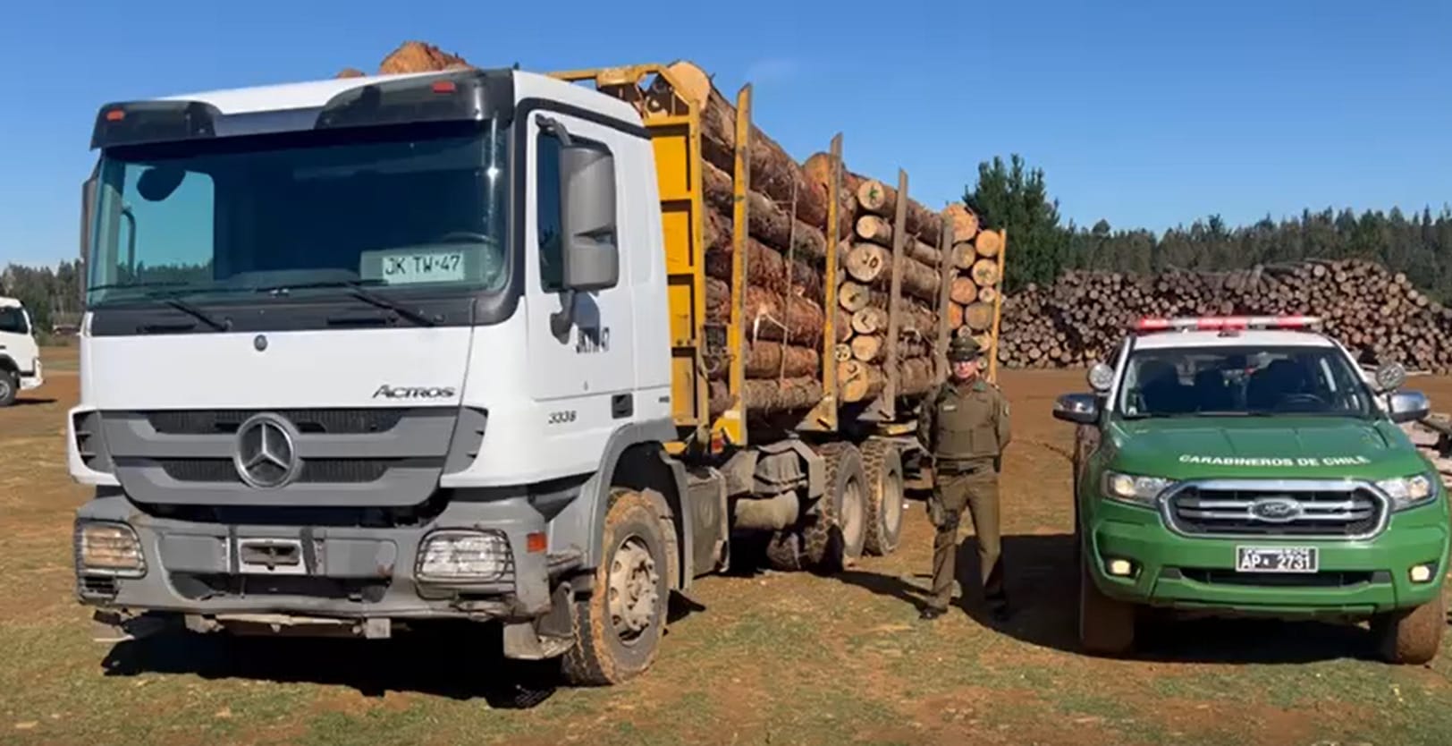 Detienen a sujeto por hurto de madera en la Provincia de Arauco: Incautaron dos camiones