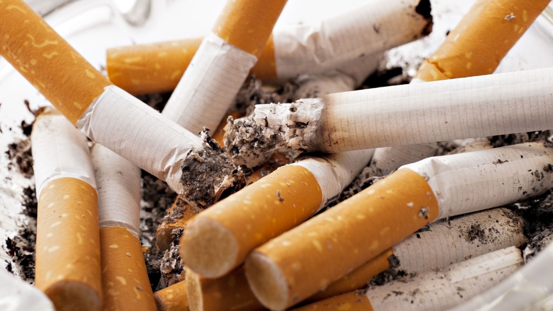 Revelan el devastador impacto de la industria del tabaco en el medioambiente