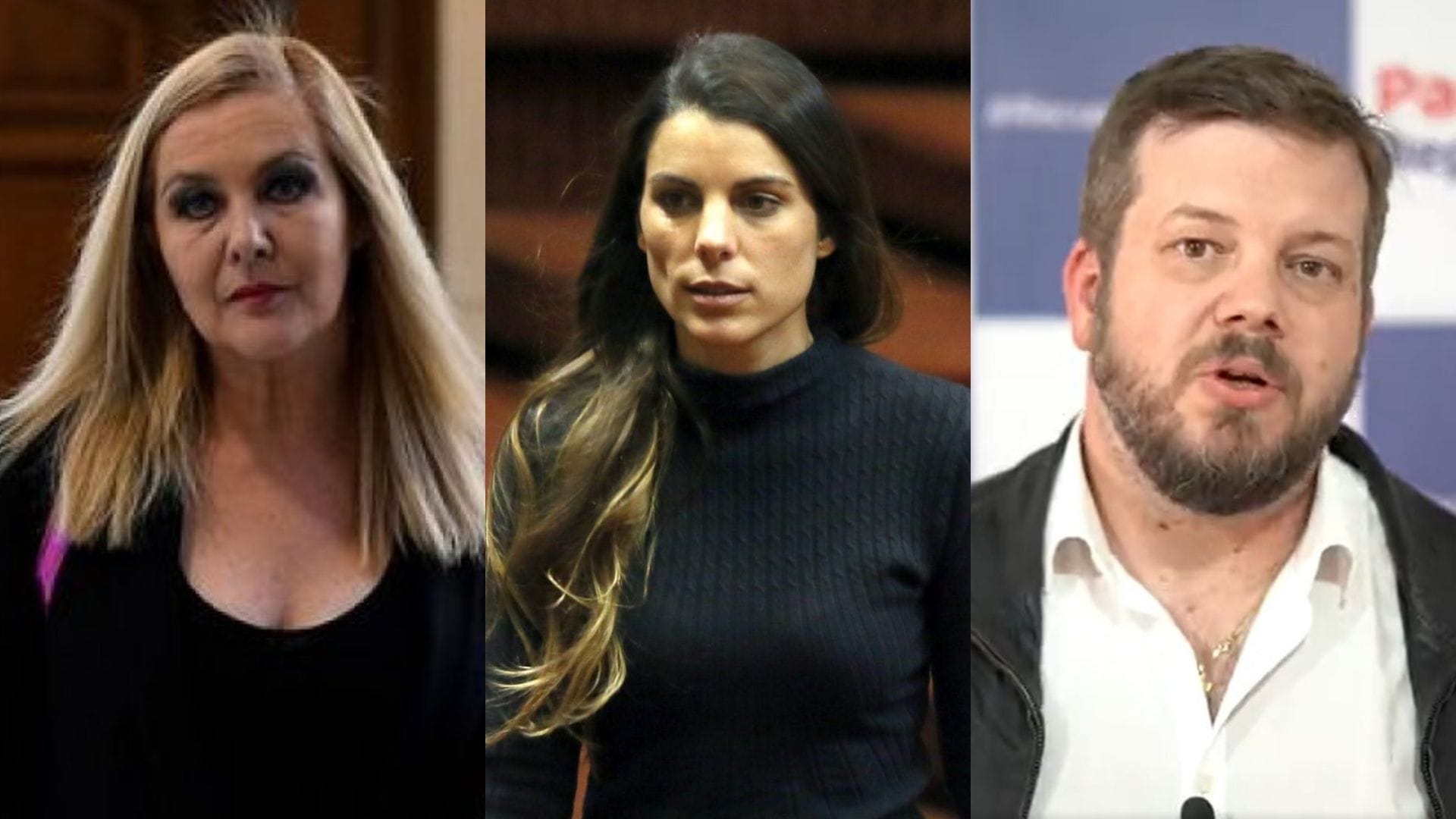 Pamela Jiles, Maite Orsini y Johannes Kaiser entre los diputados que integrarán la Comisión de Ética de la Cámara