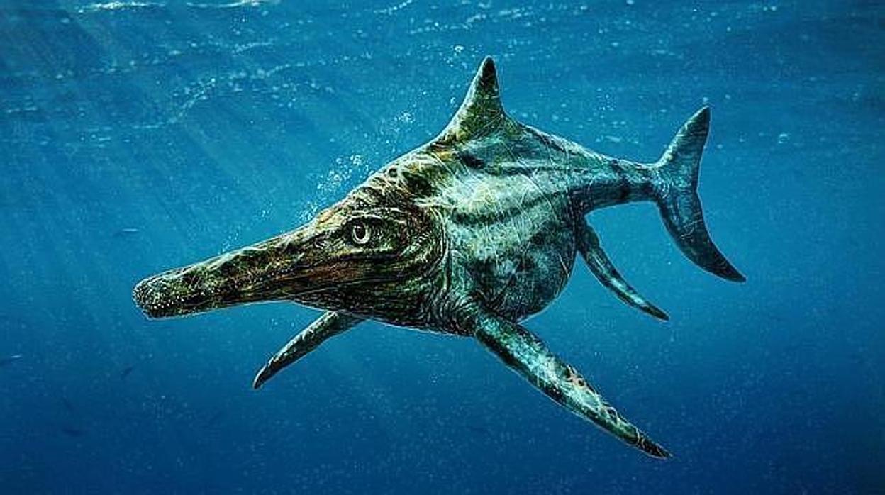 Recuperan a “Fiona”, el fósil intacto de una ictiosauria preñada desde un glaciar de la patagonia chilena