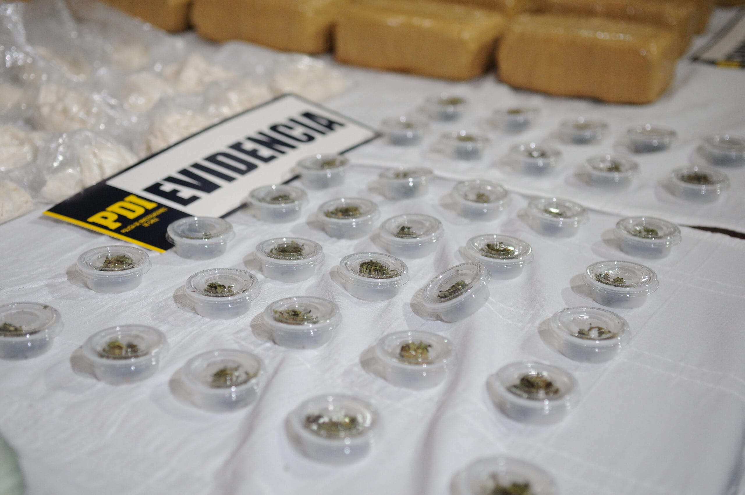 Detienen a dos sujetos que se dedicaban al tráfico de drogas en Concepción