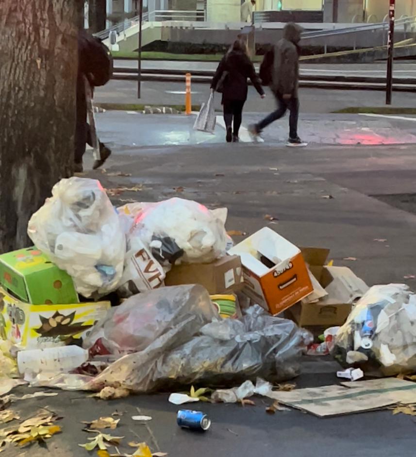 Editorial: La solución a la crisis de la basura deben ser plantas de reciclaje y compostaje, no los rellenos