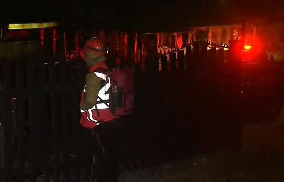 Macabro: Perro llegó con una cabeza humana al antejardín de una casa en Región Metropolitana