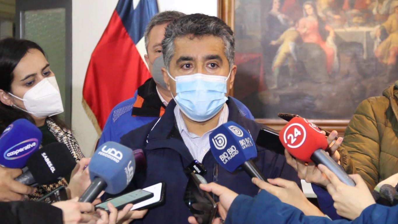 Director del SII en Biobío afirmó que no fiscalizan el robo de madera sino que la evasión tributaria