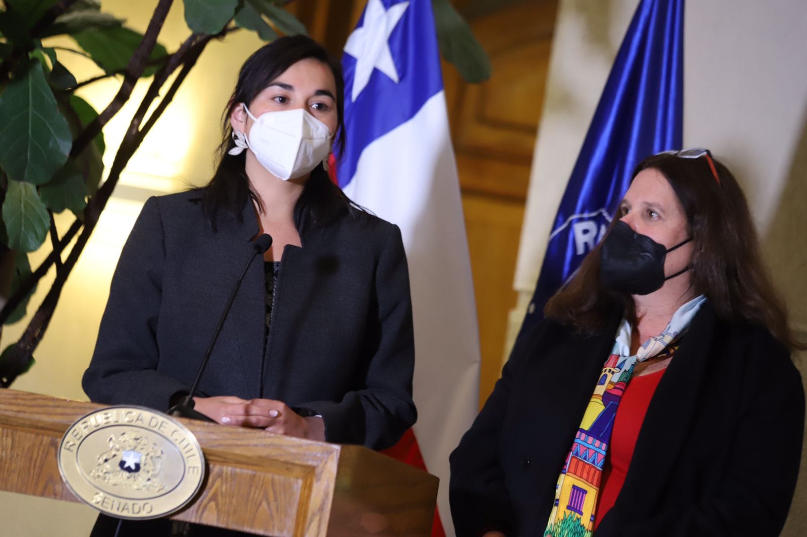 Diputada del Biobío asegura que acusación constitucional contra ministra Siches no tiene fundamentos sólidos