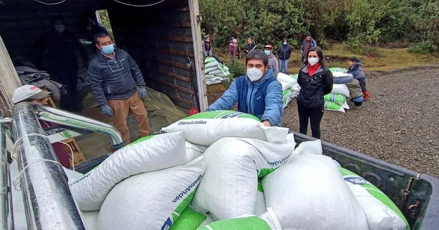 “Para la ganadería es complicado”: Socabio por emergencia agricola en Antuco y Alto Biobío