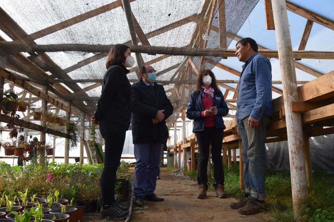Detallan medidas del programa Siembra por Chile a pequeños agricultores de Hualqui 