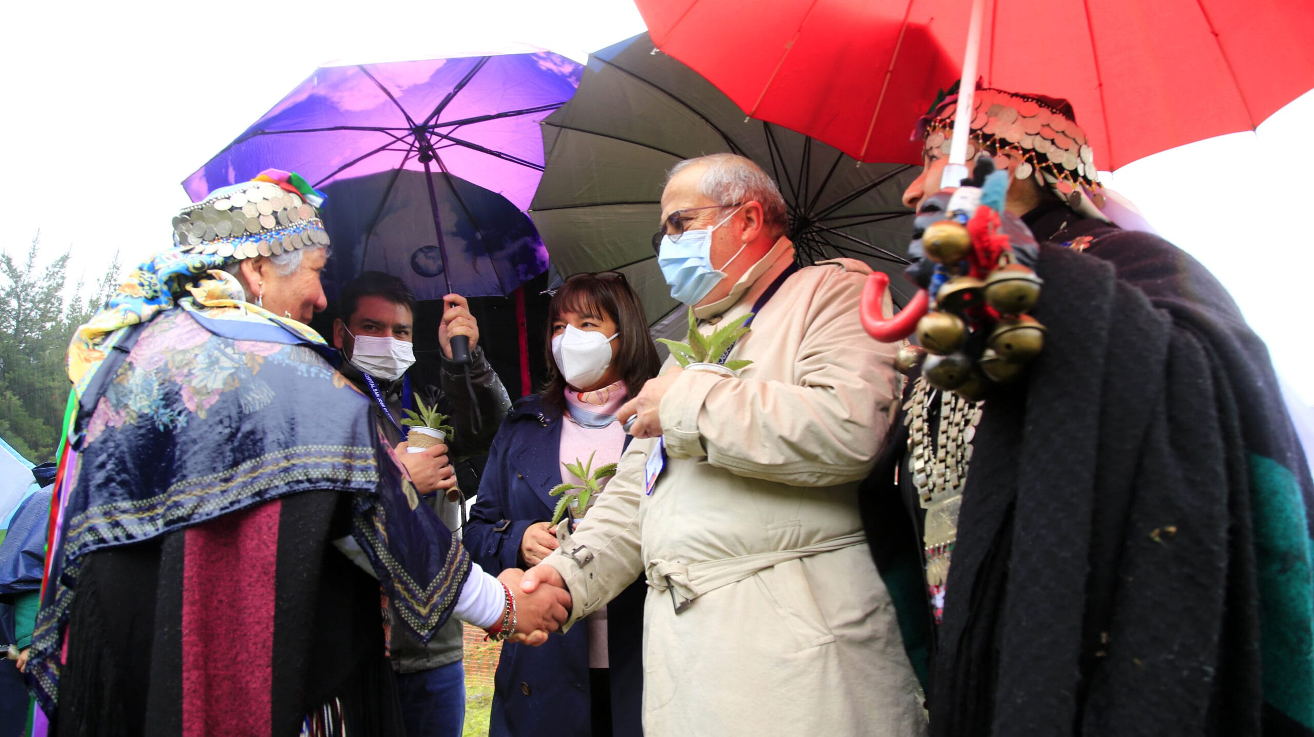 Comunidades mapuches celebran ceremonia ancestral para limpiar zona donde se instalará hospital de Coronel