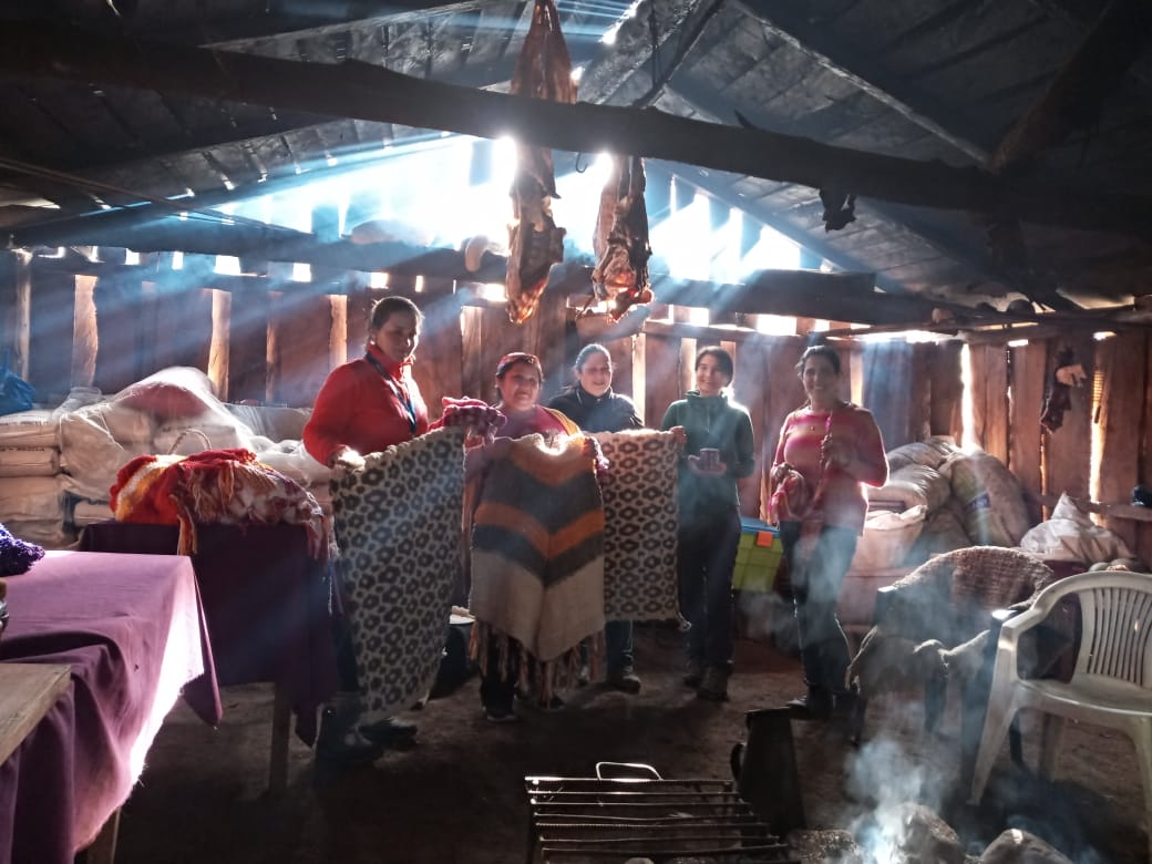 Red SIPAN: Al rescate del patrimonio cultural y agrobiodiversidad en Alto Biobío 
