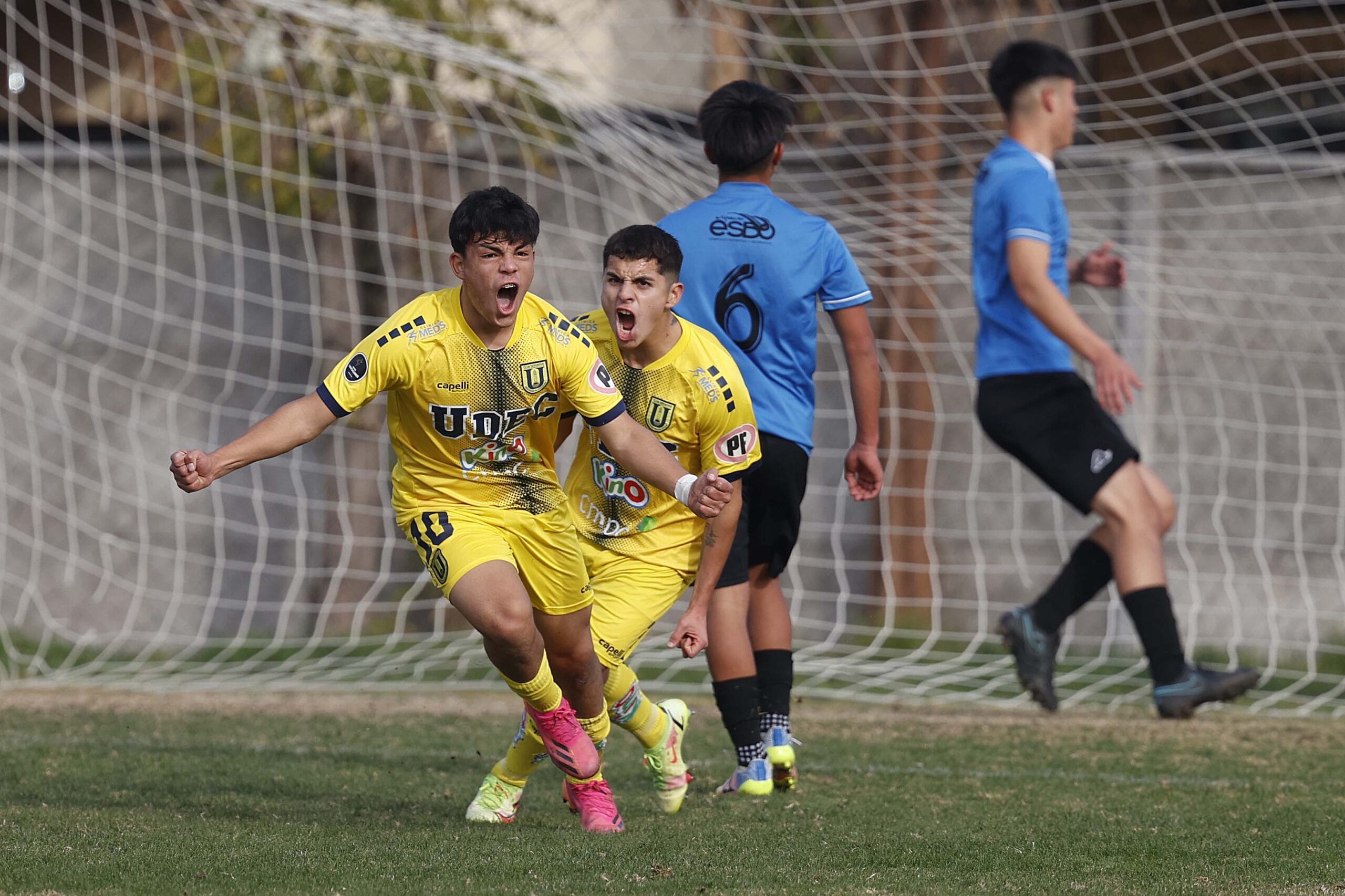 El fútbol joven de la UdeConce quiere seguir escribiendo la historia